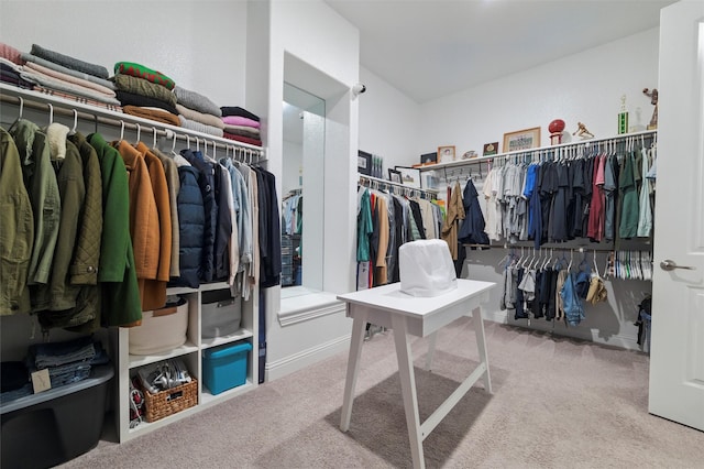 1105 Collared Dove Dr, Little Elm, TX 75068 - walk in closet with carpet floors