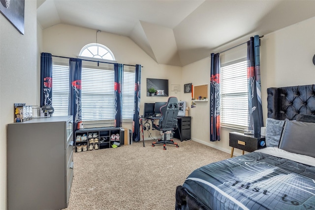 1324 Needle Cactus Dr, Fort Worth, TX 76177 - carpeted bedroom with lofted ceiling
