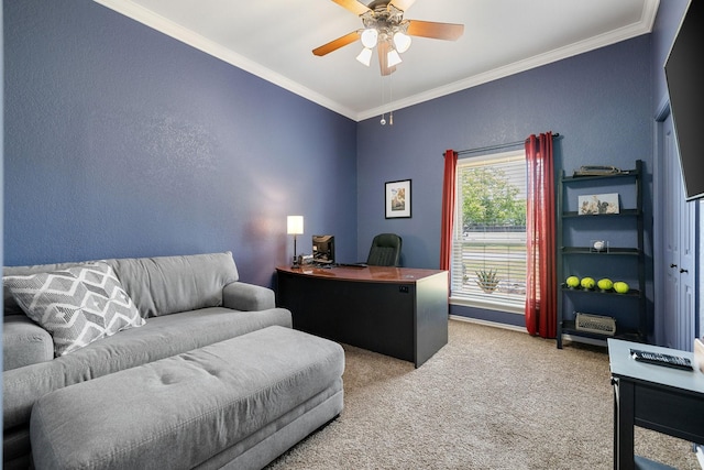 941 Mccampbell Rd, Mansfield, TX 76063 - carpeted home office featuring ornamental molding, ceiling fan, and a textured wall