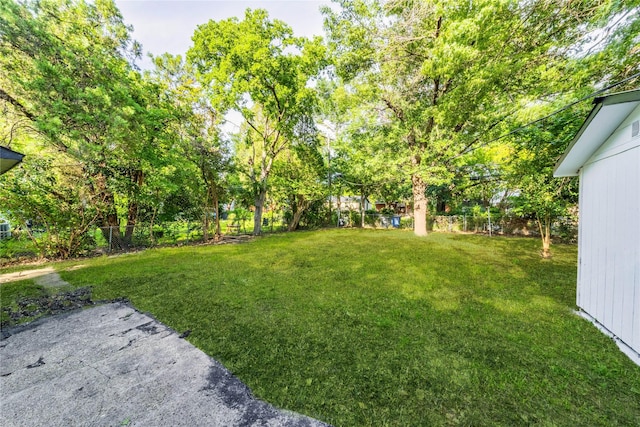 10816 Joaquin Dr, Dallas, TX 75228 - view of yard