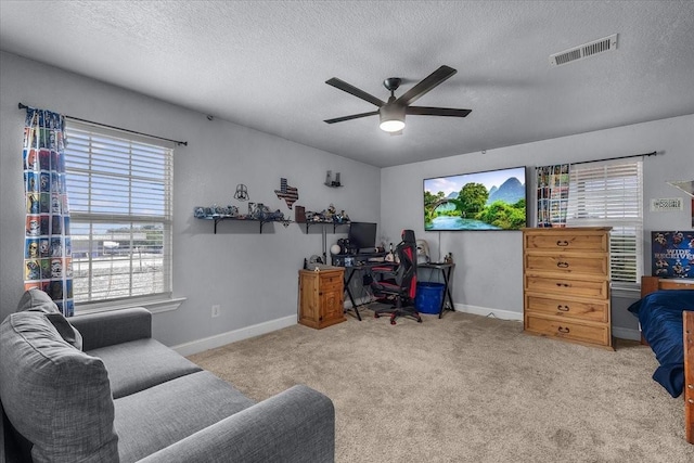 2250 Poolville Cut Off Rd, Poolville, TX 76487 - carpeted home office with a ceiling fan, healthy amount of natural light, a textured ceiling, and baseboards