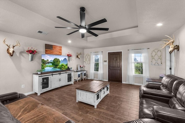 2250 Poolville Cut Off Rd, Poolville, TX 76487 - living room with a ceiling fan, healthy amount of natural light, dark wood-type flooring, a raised ceiling, and a textured ceiling