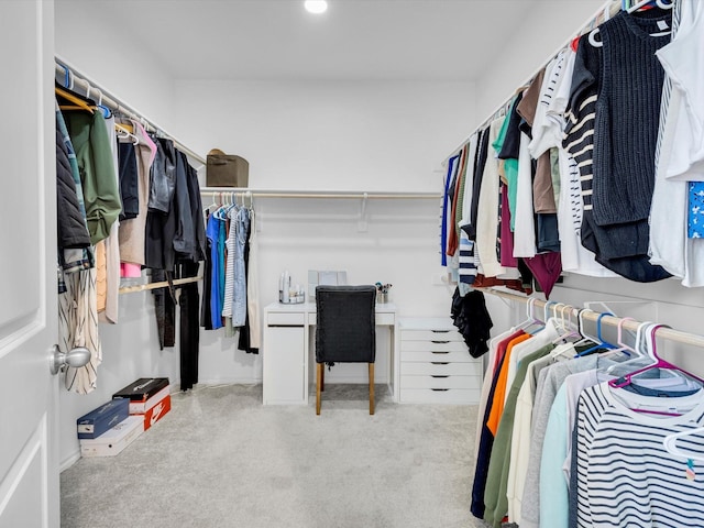 1705 Wayne Ln, Celina, TX 75009 - walk in closet featuring carpet floors