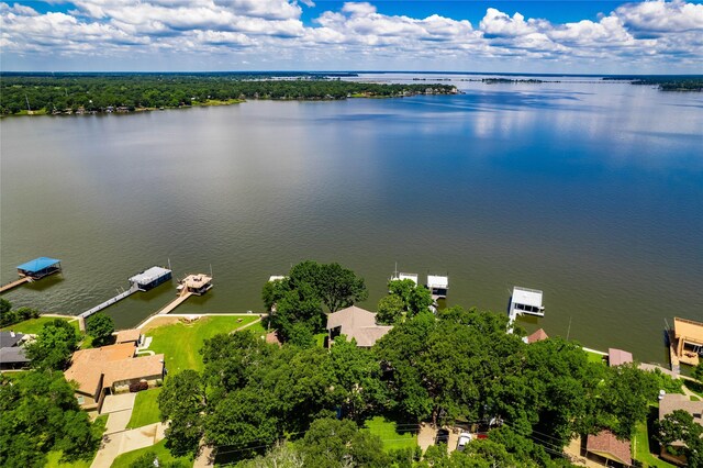 1232 Whispering Springs Dr, Tool, TX 75143 - bird's eye view of a nearby body of water