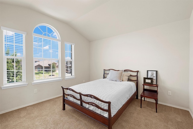 11108 Buzzard Gulch Dr, Waco, TX 76708 - bedroom with carpet floors, lofted ceiling, and baseboards