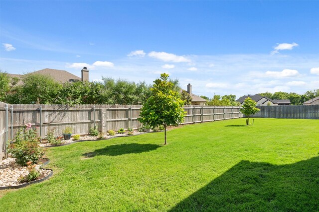 10136 Braided Briar Ln, Waco, TX 76712 - view of yard