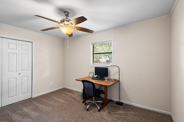 818 Country Club Rd, Bowie, TX 76230 - home office with carpet, ceiling fan, crown molding, and baseboards