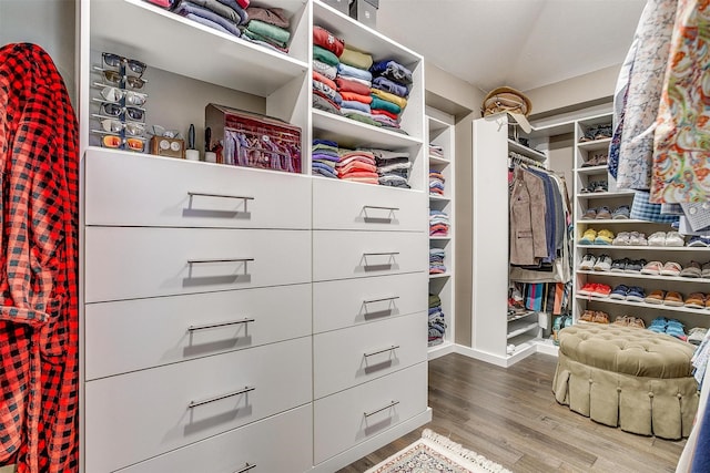 walk in closet featuring wood finished floors