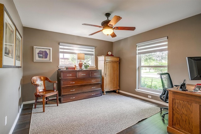 office space featuring healthy amount of natural light, baseboards, ceiling fan, and dark wood finished floors