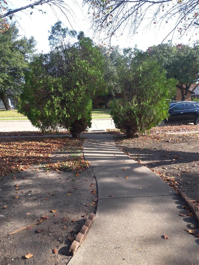327 Trevino Trl, Lancaster, TX 75146 - view of road