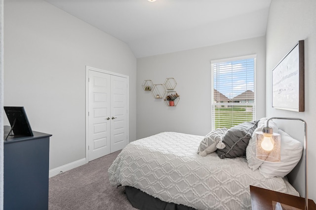 1037 Mickelson Dr, Granbury, TX 76048 - bedroom featuring carpet floors, vaulted ceiling, a closet, and baseboards