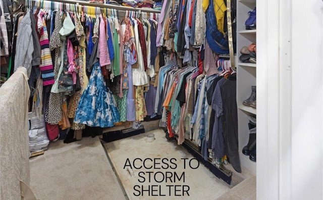 107 Falls Creek Ln, Gunter, TX 75058 - spacious closet featuring carpet flooring