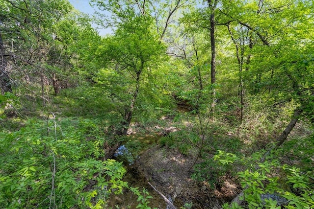 107 Falls Creek Ln, Gunter, TX 75058 - view of tree filled area