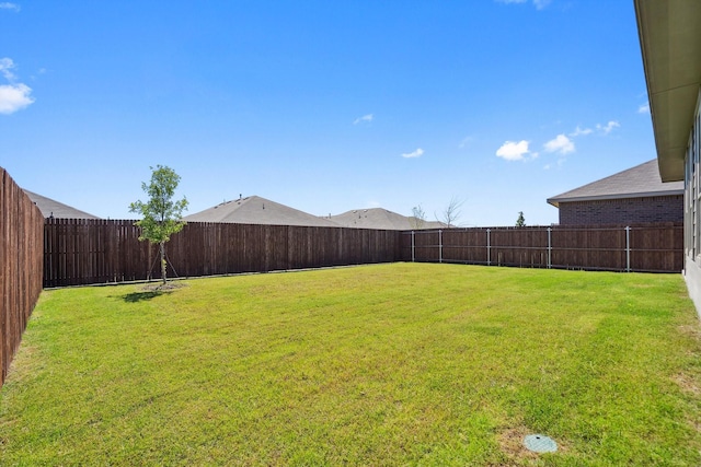8580 Big Apple Dr, Fort Worth, TX 76179 - view of yard