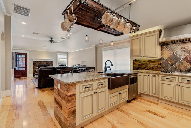 118 Lightning Trl, Forney, TX 75126 - kitchen featuring cream cabinets, stainless steel appliances, a fireplace, light wood-style floors, and recessed lighting