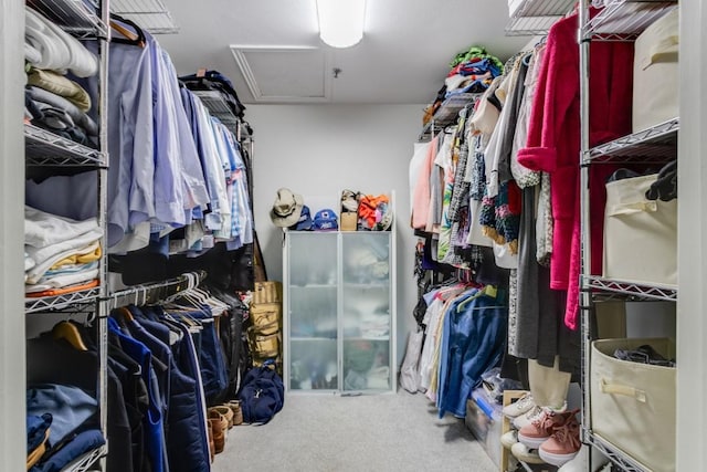 3100 Cole Ave Unit 203, Dallas, TX 75204 - spacious closet featuring attic access and carpet flooring