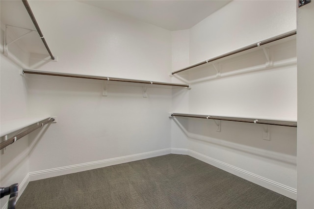 188 Las Colinas Trl, Cross Roads, TX 76227 - walk in closet featuring dark carpet
