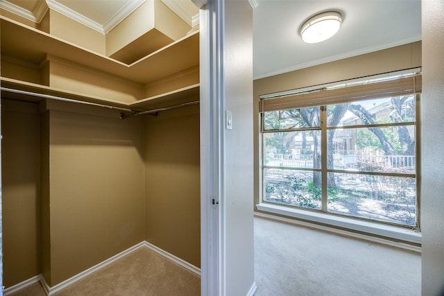 6070 Averill Way Unit A, Dallas, TX 75225 - spacious closet with carpet