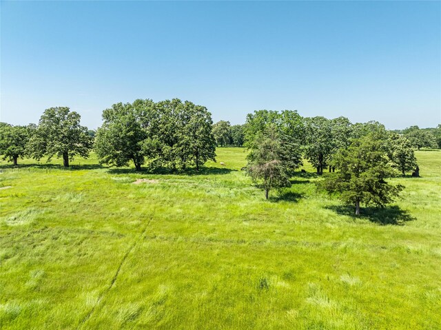 125 Harrison, Detroit, TX 75436 - view of undeveloped land featuring rural landscape