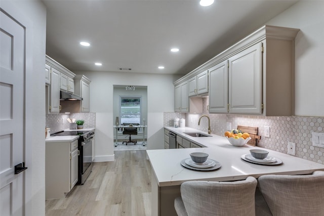 375 Briarwood Ln, Aledo, TX 76008 - kitchen with electric range, a sink, under cabinet range hood, light countertops, and dishwasher
