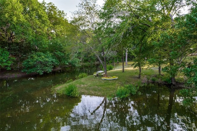 375 Briarwood Ln, Aledo, TX 76008 - water view