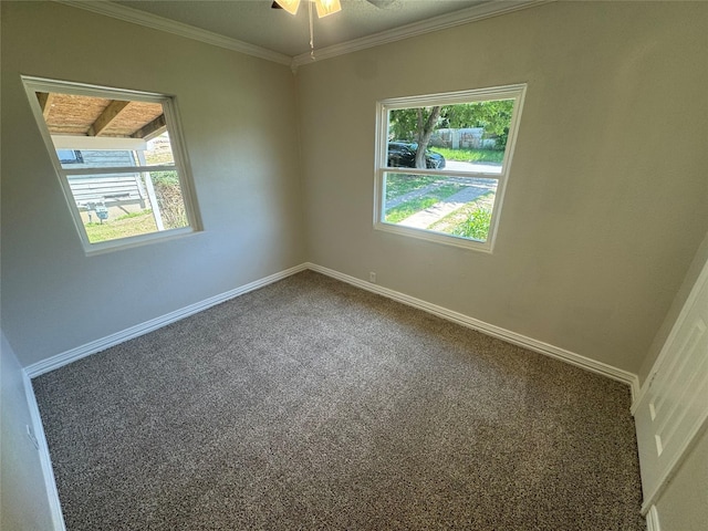 spare room featuring carpet, baseboards, ornamental molding, and ceiling fan