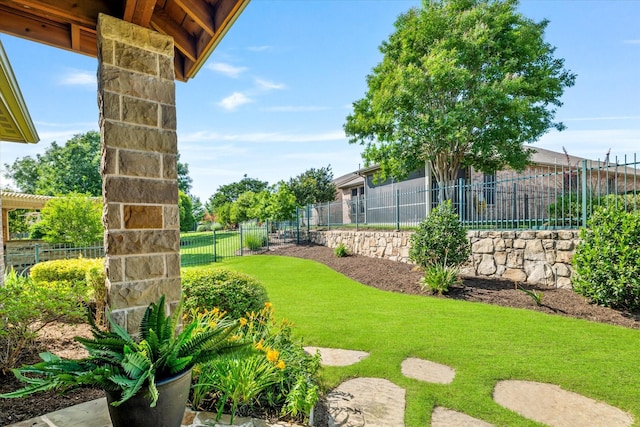 402 Pebble Beach Dr, Frisco, TX 75036 - view of yard