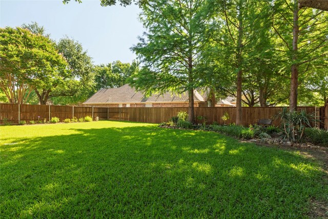 4301 Sandra Lynn Dr, Flower Mound, TX 75022 - view of yard
