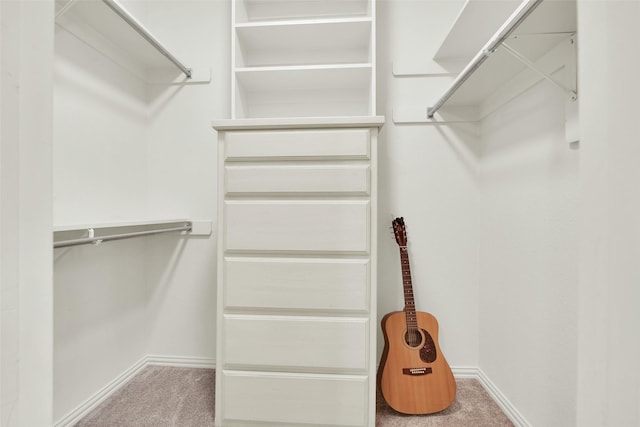 2920 Village Cir, Denison, TX 75020 - walk in closet with carpet floors