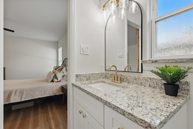 810 Turner Blvd, Grand Prairie, TX 75050 - bathroom featuring wood finished floors and vanity