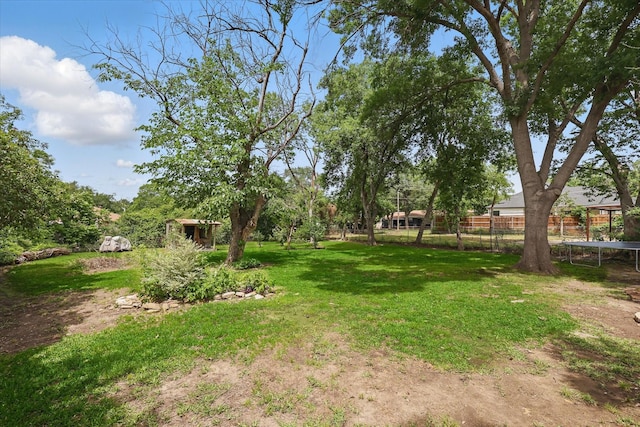 810 Turner Blvd, Grand Prairie, TX 75050 - view of yard featuring a trampoline