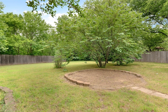 115 Mill Pond Rd, Denton, TX 76209 - view of yard