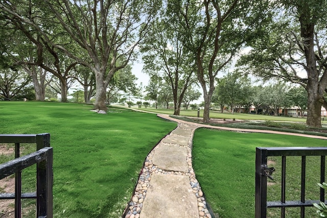 3024 Greenhill Dr, Plano, TX 75093 - surrounding community with a yard