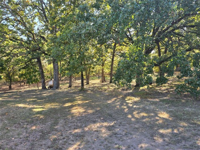 231 County Road 34715, Paris, TX 75460 - view of nature