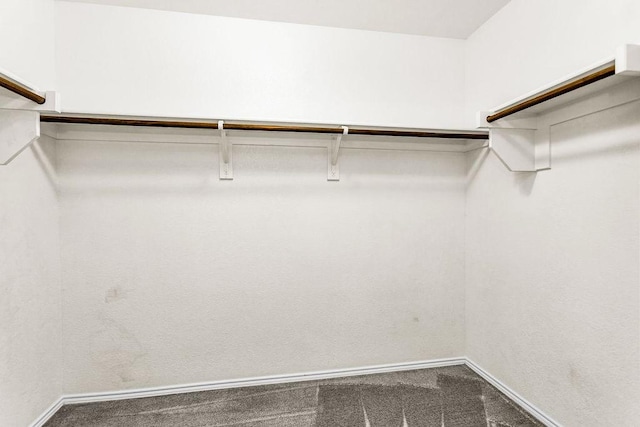 133 Feverbush Dr, Fate, TX 75189 - spacious closet featuring carpet flooring