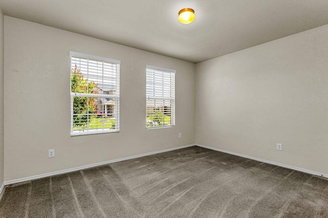 133 Feverbush Dr, Fate, TX 75189 - carpeted empty room featuring healthy amount of natural light and baseboards