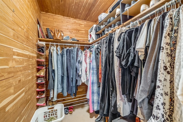 2043 Fleur De Lis Ct, Arlington, TX 76012 - view of walk in closet