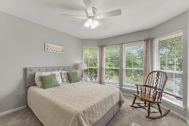 1590 N Hills Dr, Rockwall, TX 75087 - bedroom featuring baseboards, multiple windows, and carpet floors