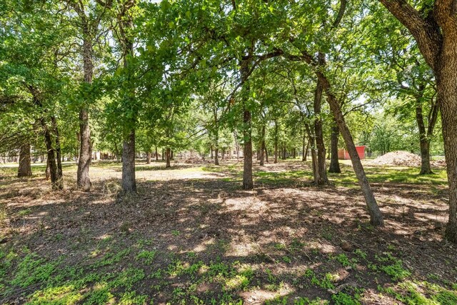 168 Barker Ln, Waco, TX 76705 - view of nature