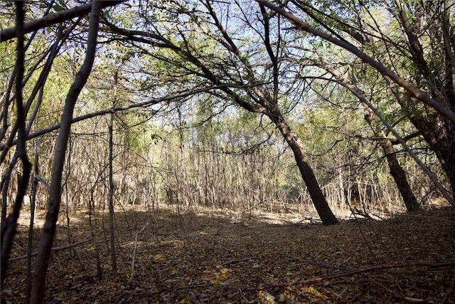 TBD126/-ACRES County Rd 4421, Rhome, TX 76078
