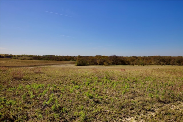 TBD126/-ACRES County Rd 4421, Rhome, TX 76078