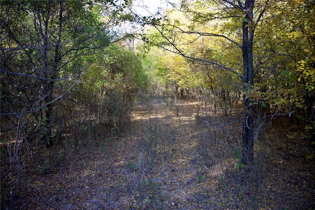 TBD126/-ACRES County Rd 4421, Rhome, TX 76078