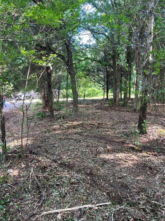 141 Eastern Hills Dr, Mabank, TX 75156