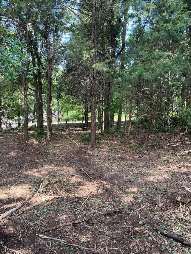 141 Eastern Hills Dr, Mabank, TX 75156