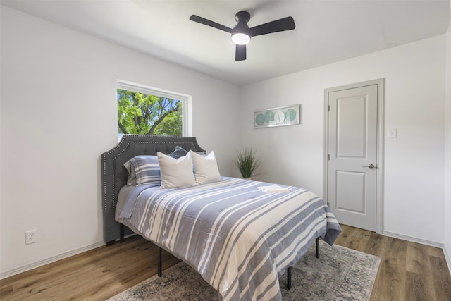 1900 Sussex Dr, Garland, TX 75041 - bedroom with wood finished floors, a ceiling fan, and baseboards