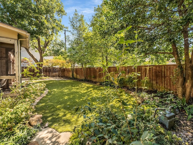 6302 Waggoner Dr, Dallas, TX 75230 - view of yard