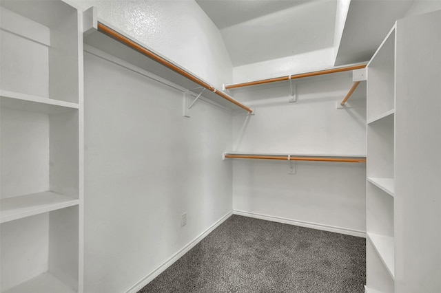 1424 Greenwich Dr, Allen, TX 75013 - walk in closet with dark carpet