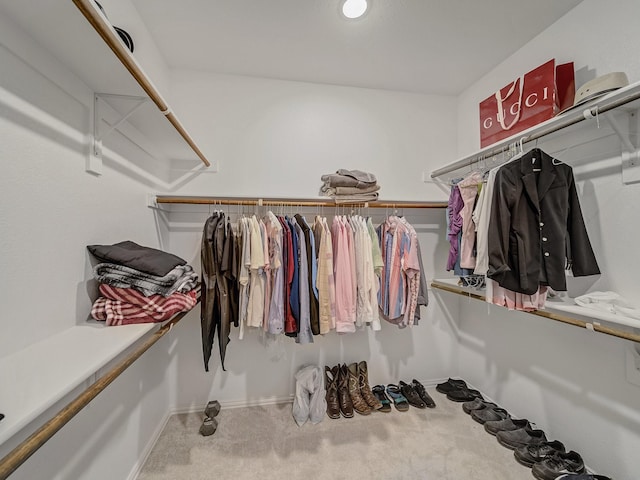 1316 Brentfield Dr, Anna, TX 75409 - spacious closet featuring carpet floors
