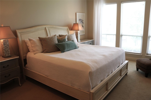 11 Westview Dr, Star Harbor, TX 75148 - view of carpeted bedroom