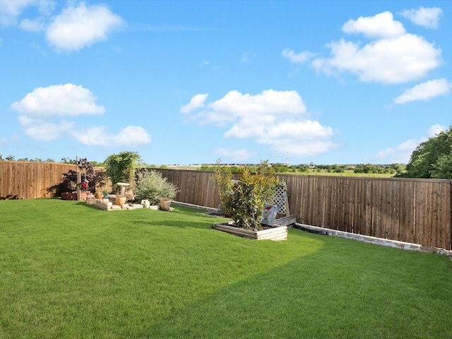 1227 Rushcroft Way, Forney, TX 75126 - view of yard